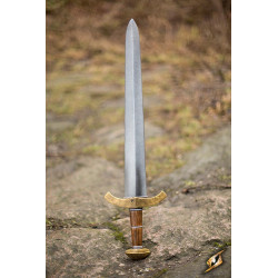 Squire Sword Hybrid 65cm