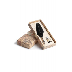 Fjäderpenna med bläck